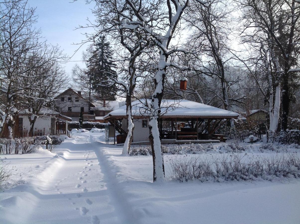 Oeko-Park Panzio, Kemping Es Rendezvenykoezpont Szarvasko Exterior photo